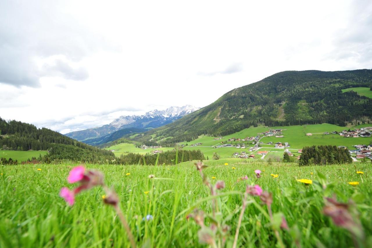 Buttermilchalm Bed and Breakfast Sankt Martin am Tennengebirge Eksteriør billede